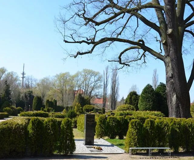 Urnenfeld „Eichenblick“
